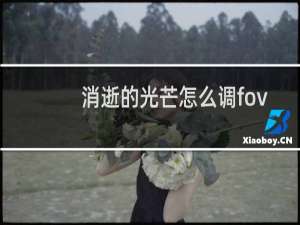 消逝的光芒怎么调fov