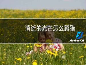 消逝的光芒怎么蹲猎