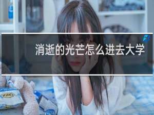 消逝的光芒怎么进去大学