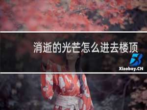 消逝的光芒怎么进去楼顶