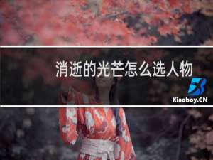 消逝的光芒怎么选人物