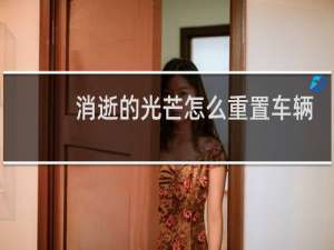 消逝的光芒怎么重置车辆