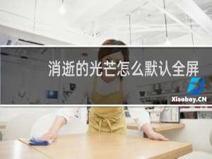 消逝的光芒怎么默认全屏