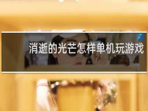 消逝的光芒怎样单机玩游戏