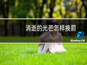 消逝的光芒怎样换箭