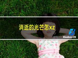 消逝的光芒怎xz