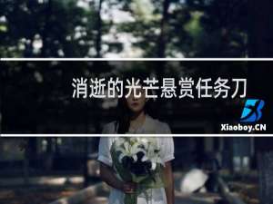 消逝的光芒悬赏任务刀