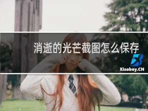 消逝的光芒截图怎么保存