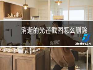 消逝的光芒截图怎么删除