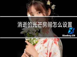 消逝的光芒房间怎么设置