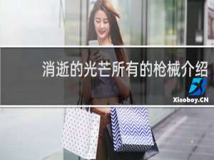 消逝的光芒所有的枪械介绍