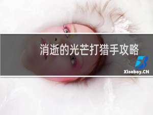 消逝的光芒打猎手攻略