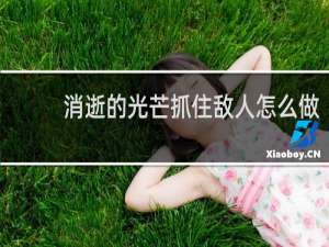 消逝的光芒抓住敌人怎么做