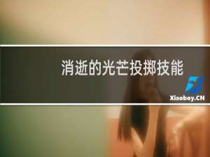 消逝的光芒投掷技能