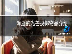 消逝的光芒投掷物品介绍