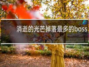 消逝的光芒掉落最多的boss
