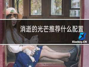 消逝的光芒推荐什么配置