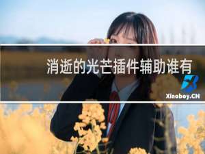消逝的光芒插件辅助谁有