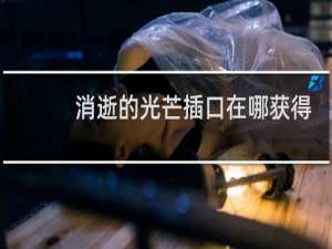 消逝的光芒插口在哪获得