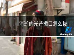 消逝的光芒插口怎么拔