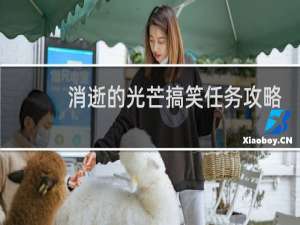 消逝的光芒搞笑任务攻略