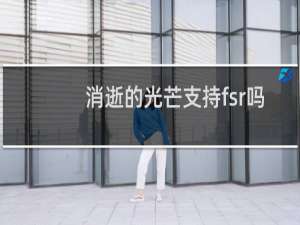 消逝的光芒支持fsr吗