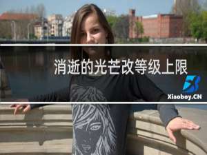 消逝的光芒改等级上限
