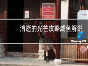 消逝的光芒攻略咸鱼解说