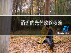 消逝的光芒攻略夜晚