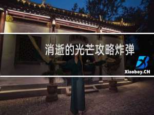 消逝的光芒攻略炸弹