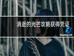 消逝的光芒攻略获得凭证