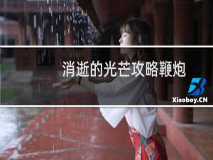 消逝的光芒攻略鞭炮