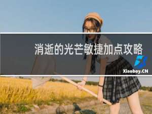 消逝的光芒敏捷加点攻略