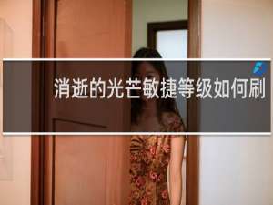 消逝的光芒敏捷等级如何刷