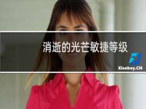 消逝的光芒敏捷等级