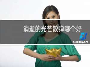 消逝的光芒散弹哪个好