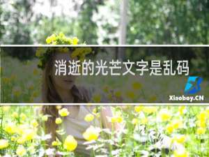 消逝的光芒文字是乱码