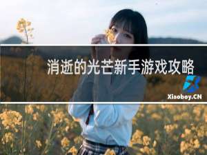 消逝的光芒新手游戏攻略
