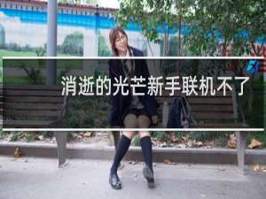 消逝的光芒新手联机不了