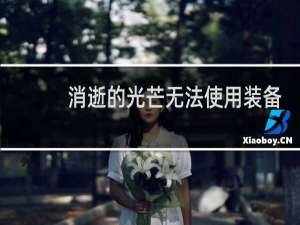 消逝的光芒无法使用装备