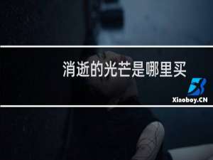 消逝的光芒是哪里买