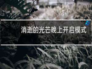 消逝的光芒晚上开启模式