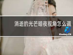 消逝的光芒暗夜视角怎么调