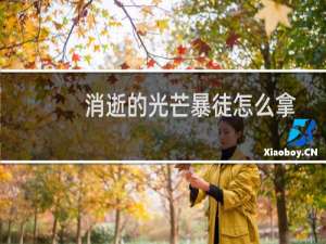 消逝的光芒暴徒怎么拿