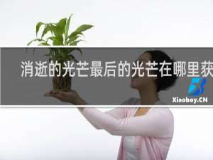 消逝的光芒最后的光芒在哪里获得