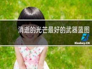 消逝的光芒最好的武器蓝图