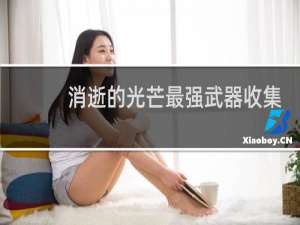 消逝的光芒最强武器收集