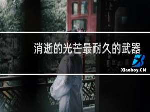 消逝的光芒最耐久的武器