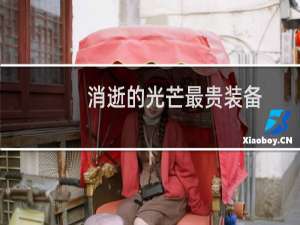 消逝的光芒最贵装备