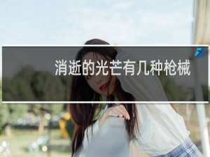 消逝的光芒有几种枪械